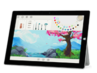 滨海Surface 无法开启、Windows 无法启动或电池无法充电